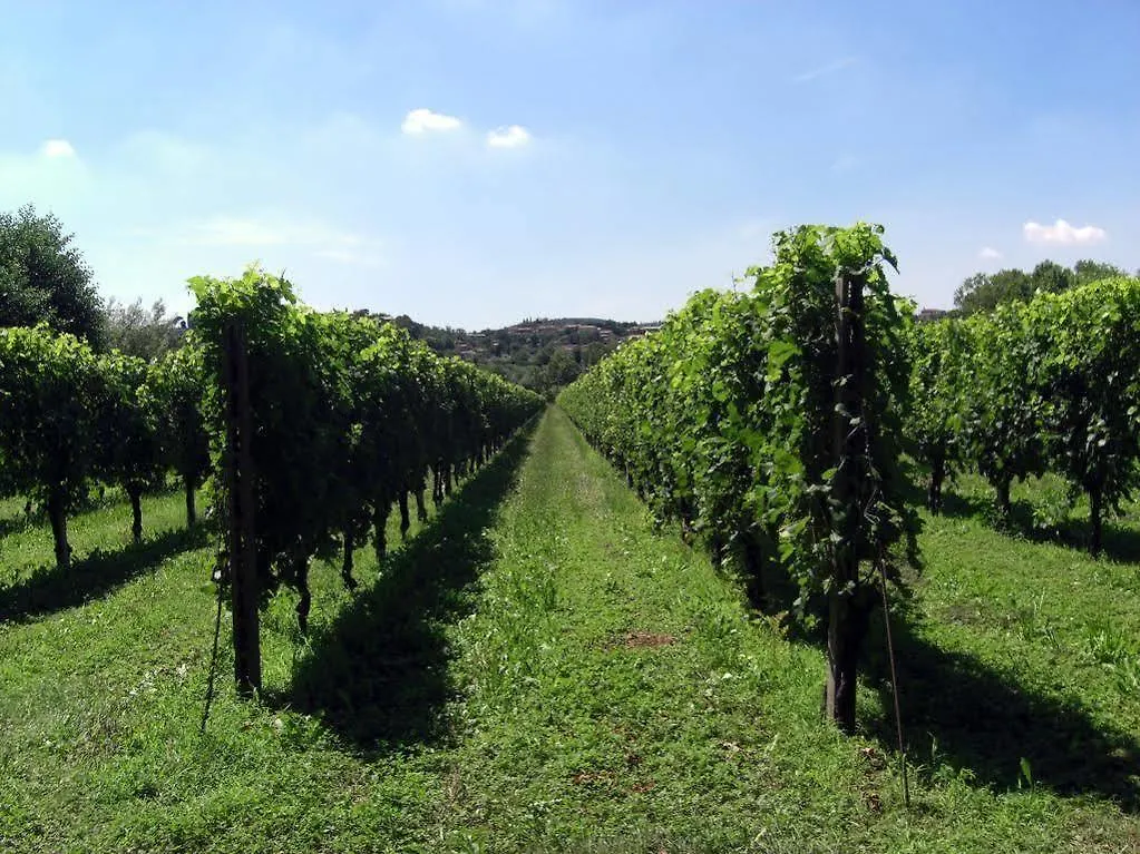 Il Vigneto Affittacamere Manerba del Garda