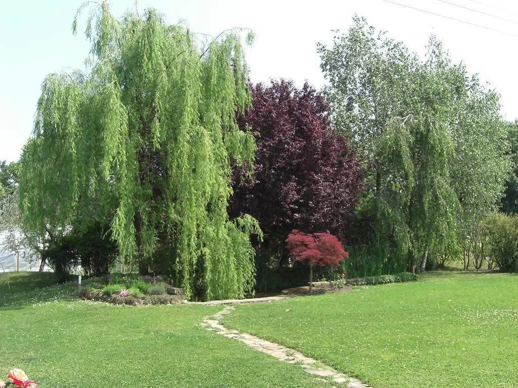Gospodarstwo wiejskie Il Vigneto Affittacamere Manerba del Garda