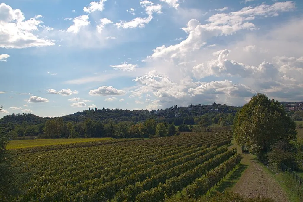 Il Vigneto Affittacamere Manerba del Garda